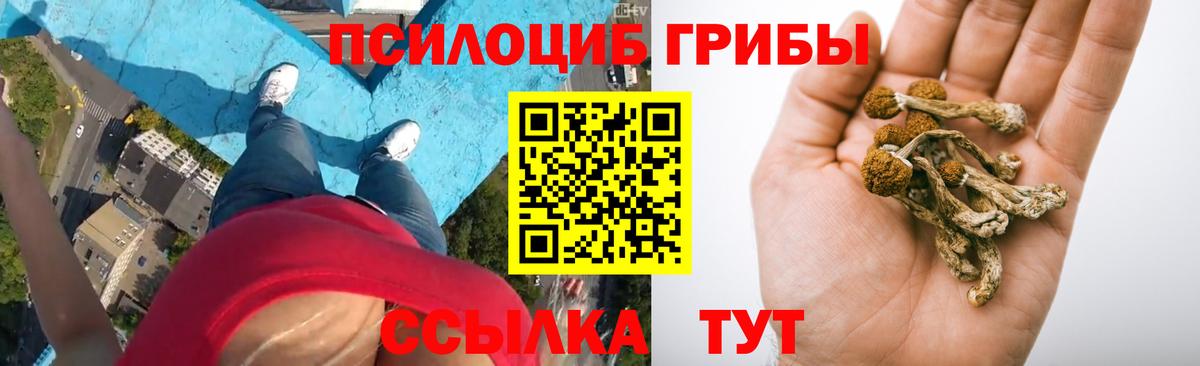 Кашира  Галлюциногенные грибы Magic Shrooms  Вход с VPN 